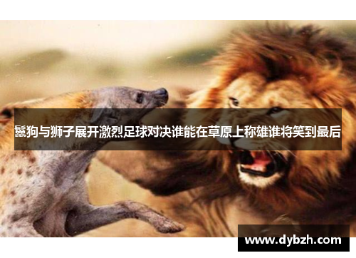 鬣狗与狮子展开激烈足球对决谁能在草原上称雄谁将笑到最后