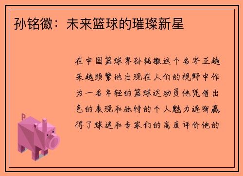 孙铭徽：未来篮球的璀璨新星